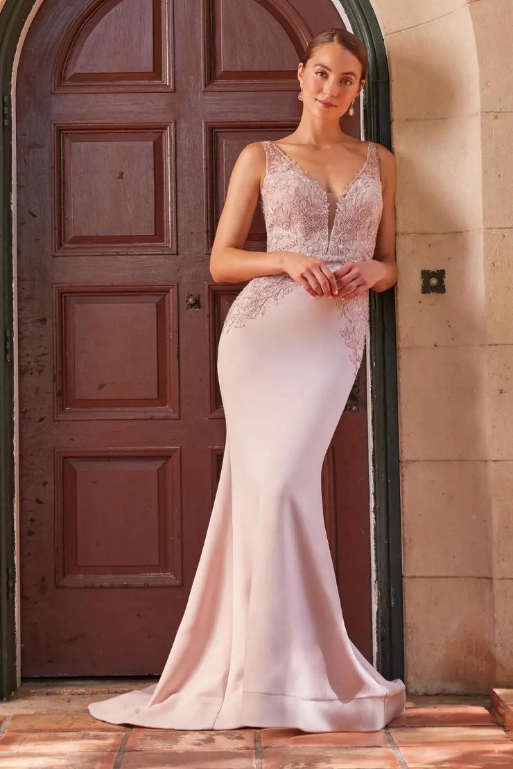 Exquisite Straight Illusion Plunge V-Neck Lace Mother Of The Bride Dress #M528