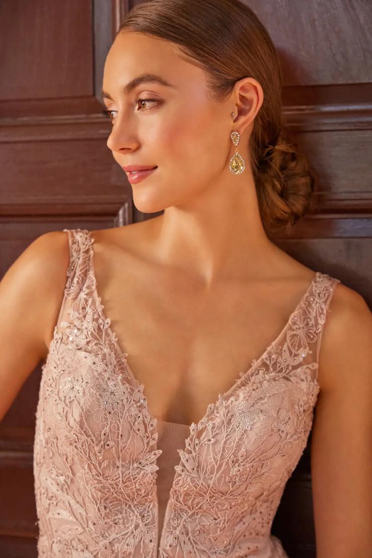 Exquisite Straight Illusion Plunge V-Neck Lace Mother Of The Bride Dress #M528