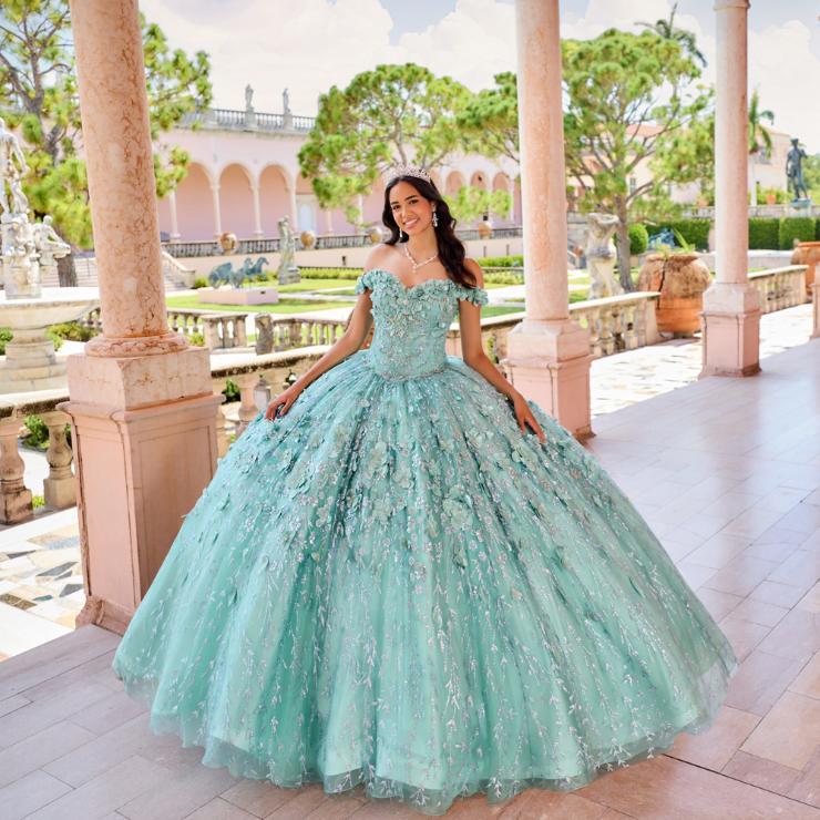 Ethereal Light-Up Quinceanera Dress With 3D Flowers #PR22036
