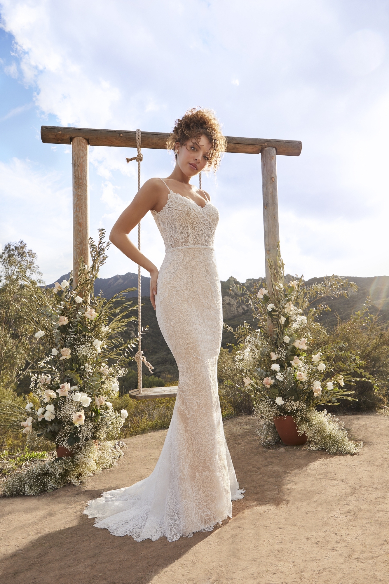 Elegance Fit And Flare V-Neck Tulle Beaded Alencon Lace Gowns