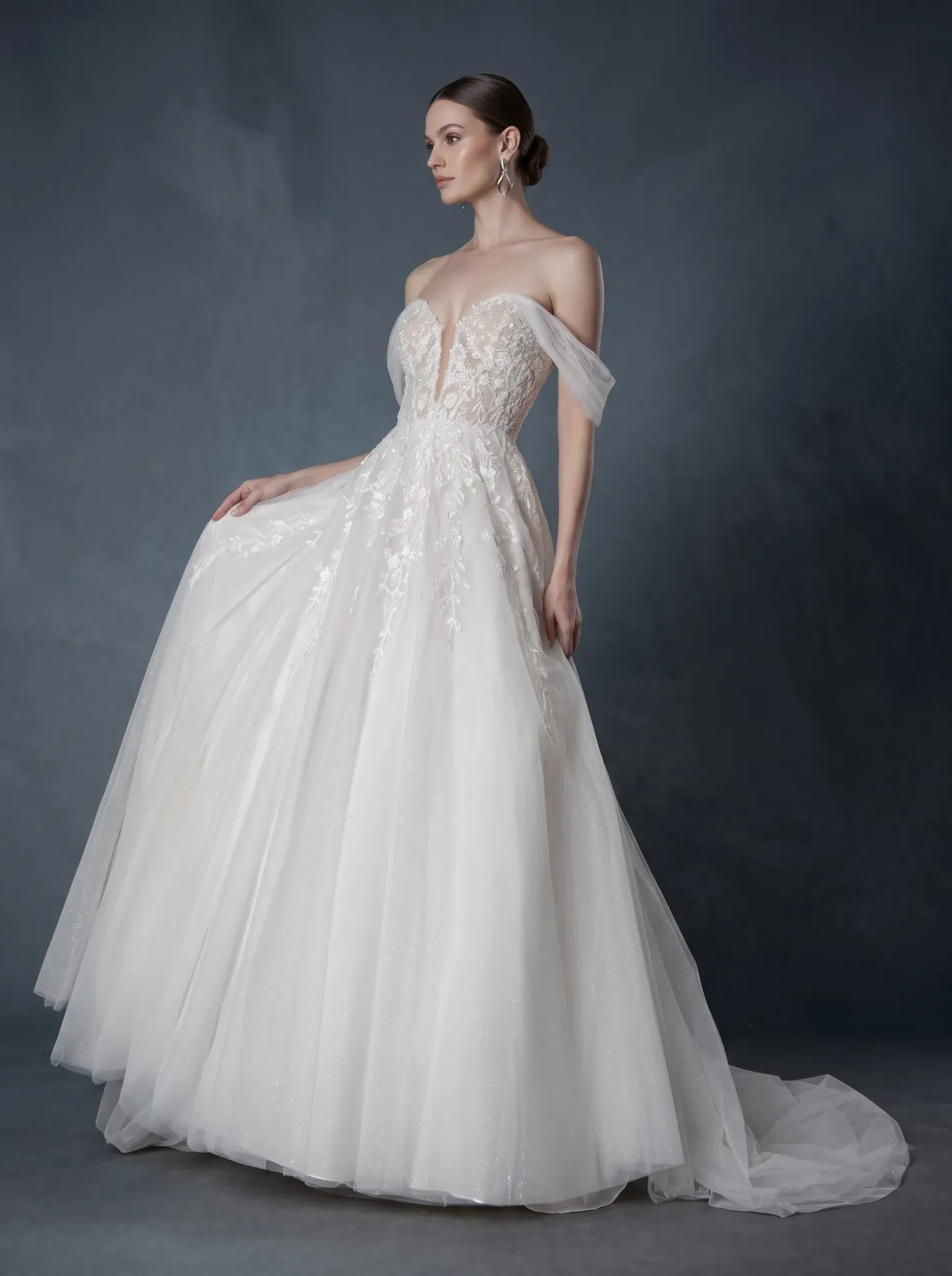 Off-the-Shoulder Floral Lace Ball Gown Wedding Dress | Sweetheart Illusion Neckline Tulle Bridal Gown with Sweep Train W6014