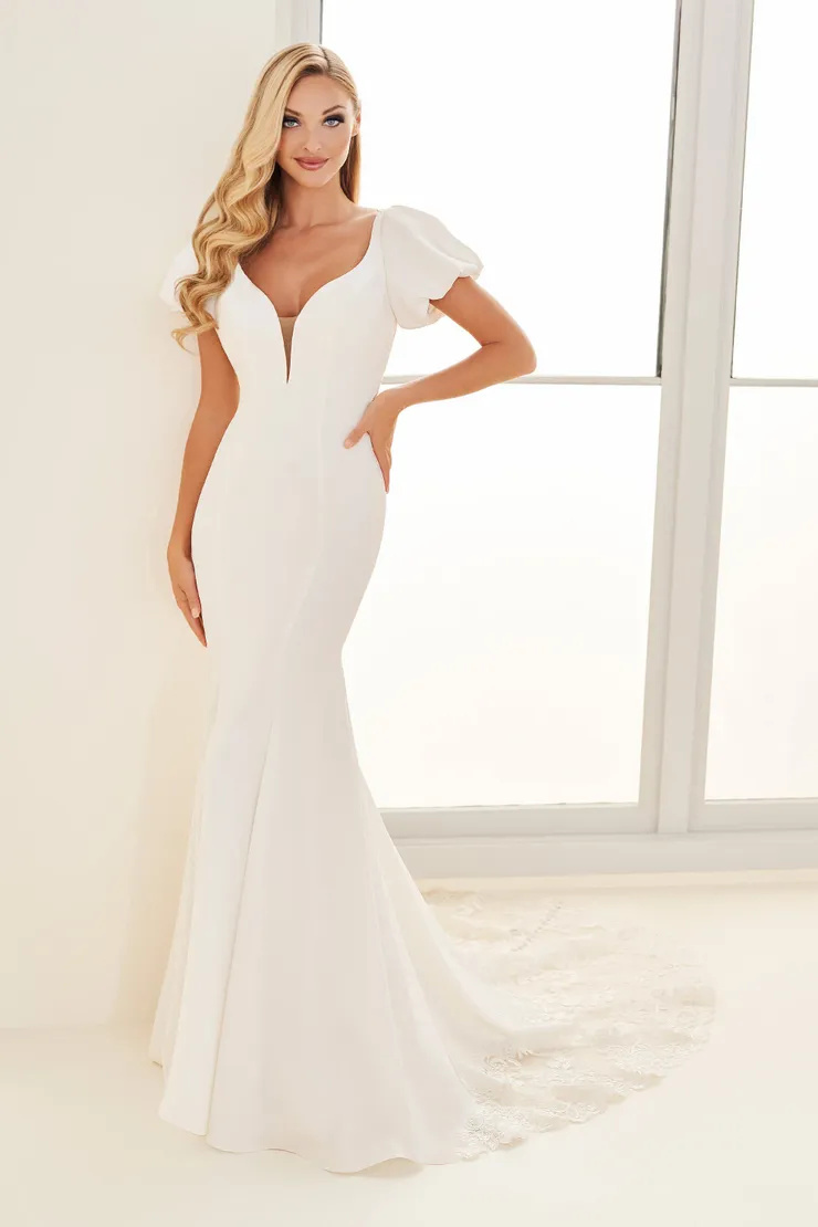 Mermaid Plunging V-Neck Short Sleeve Lace Appliques Wedding Dress