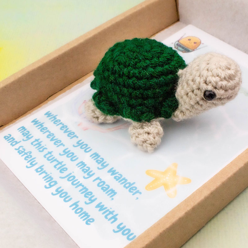 Travel Turtle Gift