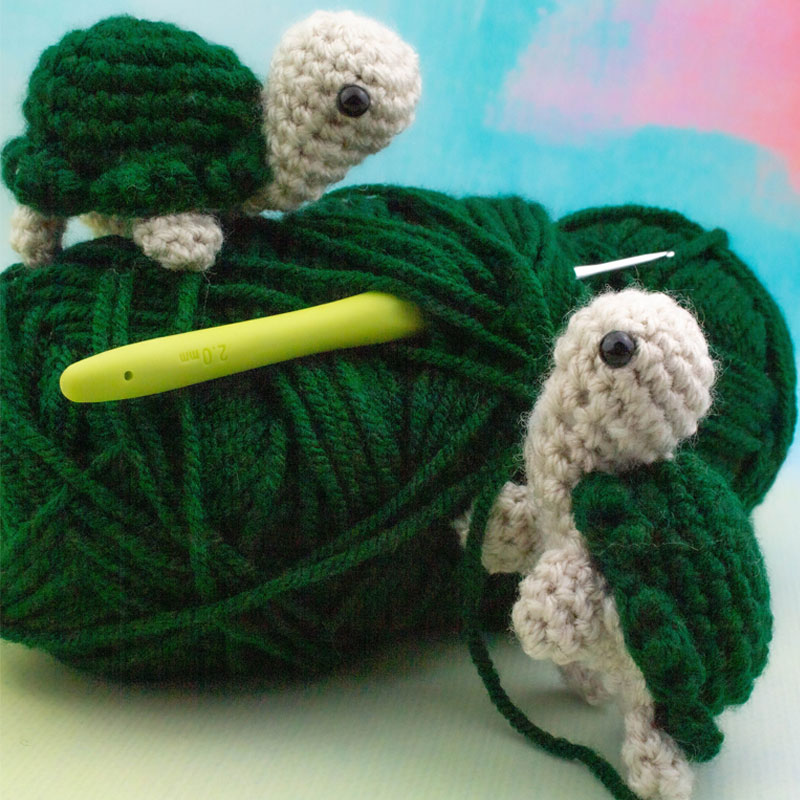 Travel Turtle Gift