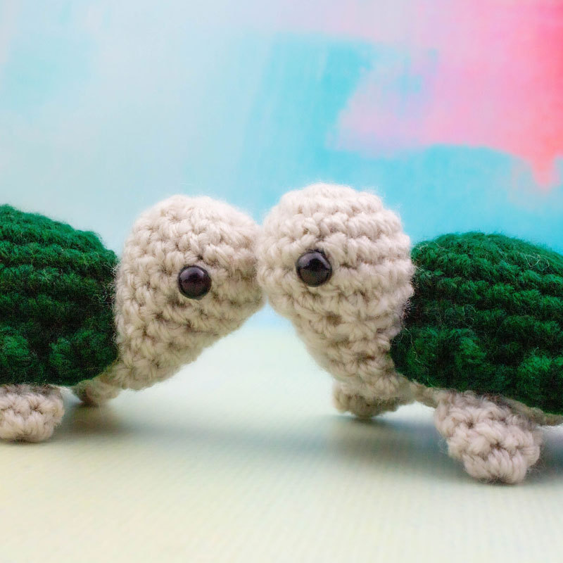 Travel Turtle Gift