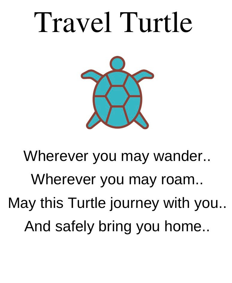 Travel Turtle Gift