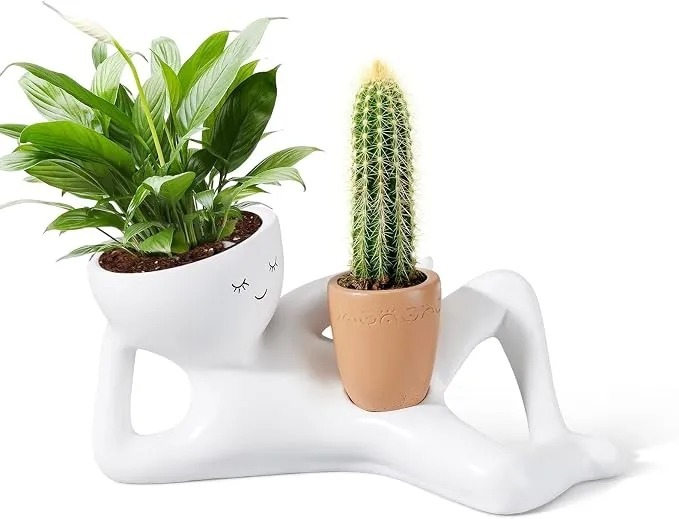 Funny Plant Pots