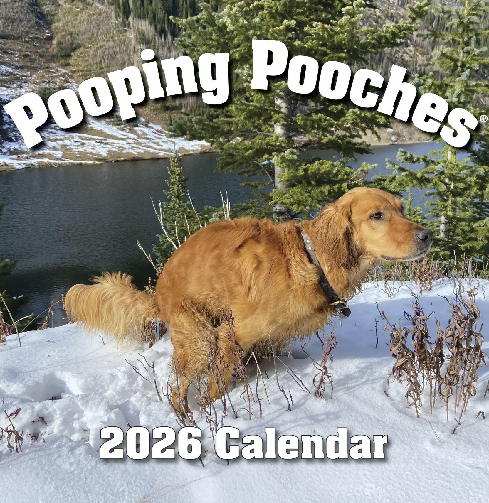 2026 Pooping Pooches Dog Calendar