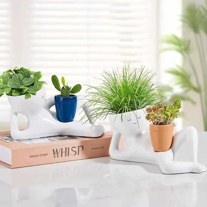 Funny Plant Pots