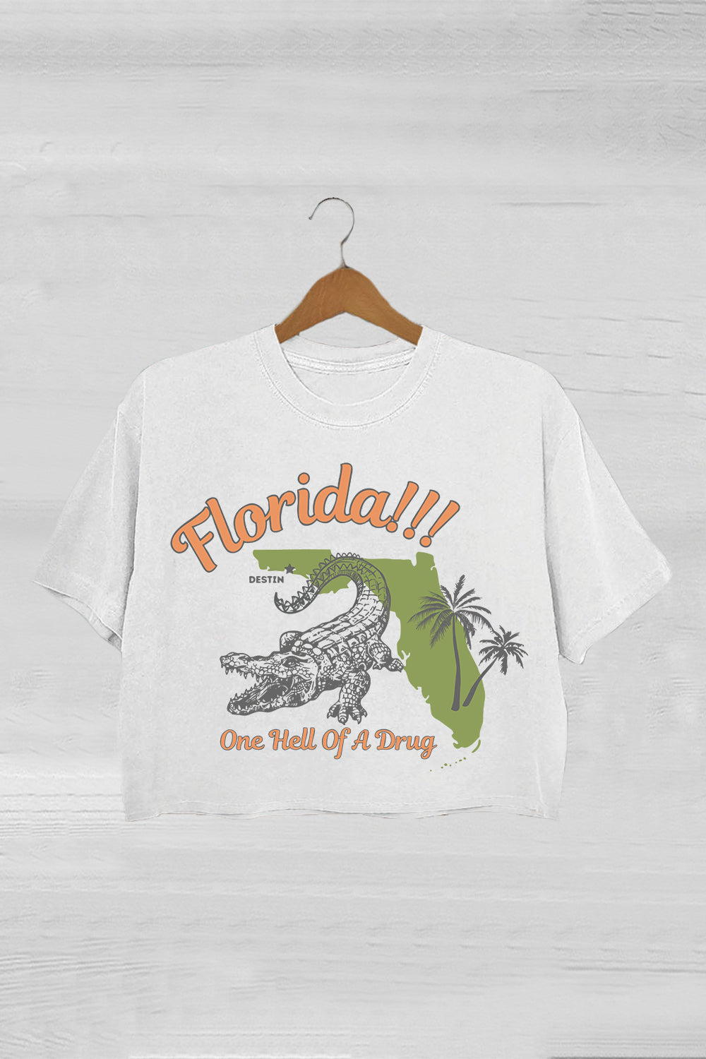 Florida!!! Taylor Swift Crop Tee For Women