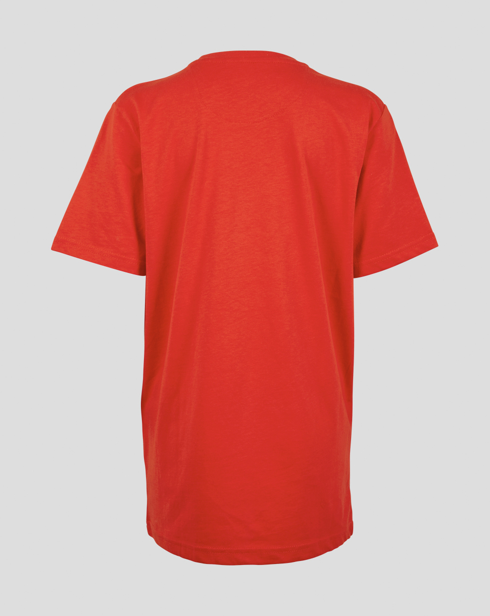 Charlton Junior Red Crest Splash Tshirt Charlton Athletic F.C. Official Online Store