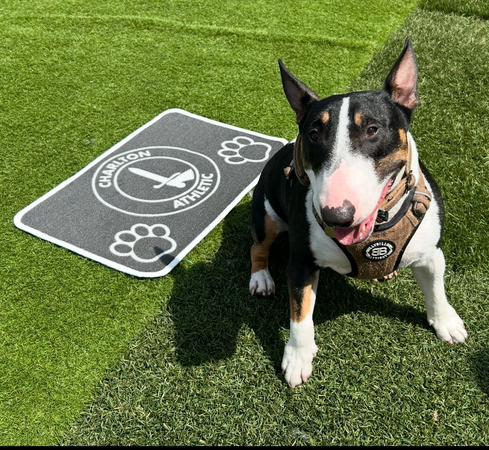 Pet Mats
