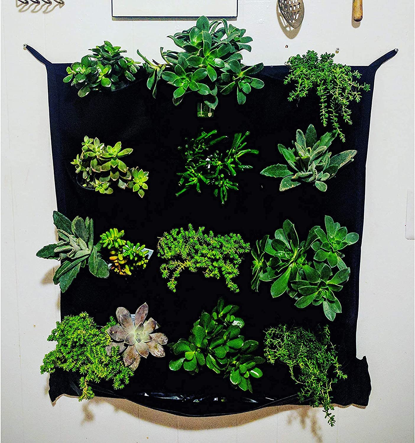 12 Pocket Waterproof Vertical Living Wall Planter