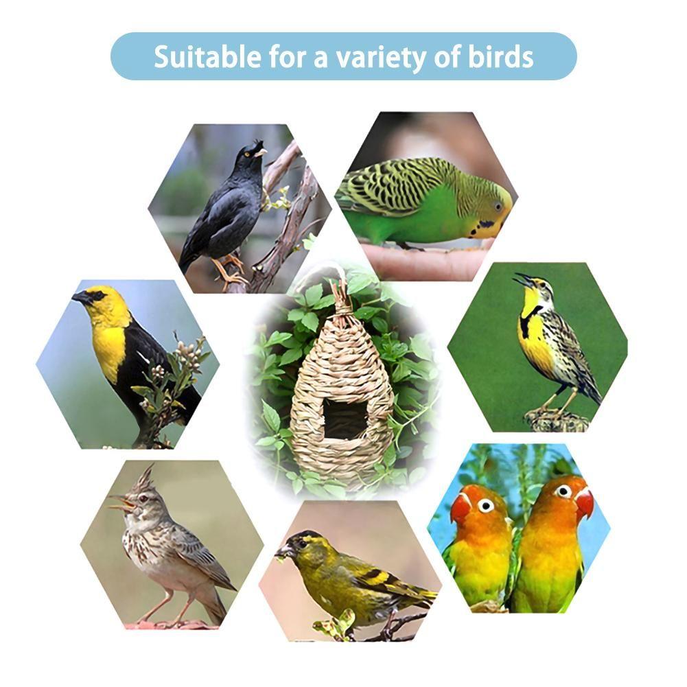 Handmade Winter Bird Nest