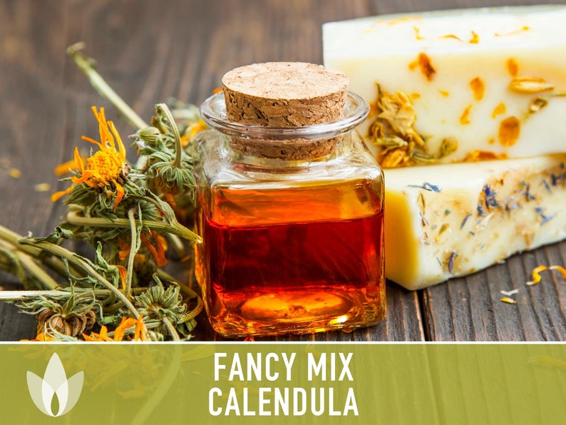 Calendula Officinalis, Fancy Mix Heirloom Seeds, Flower Seeds