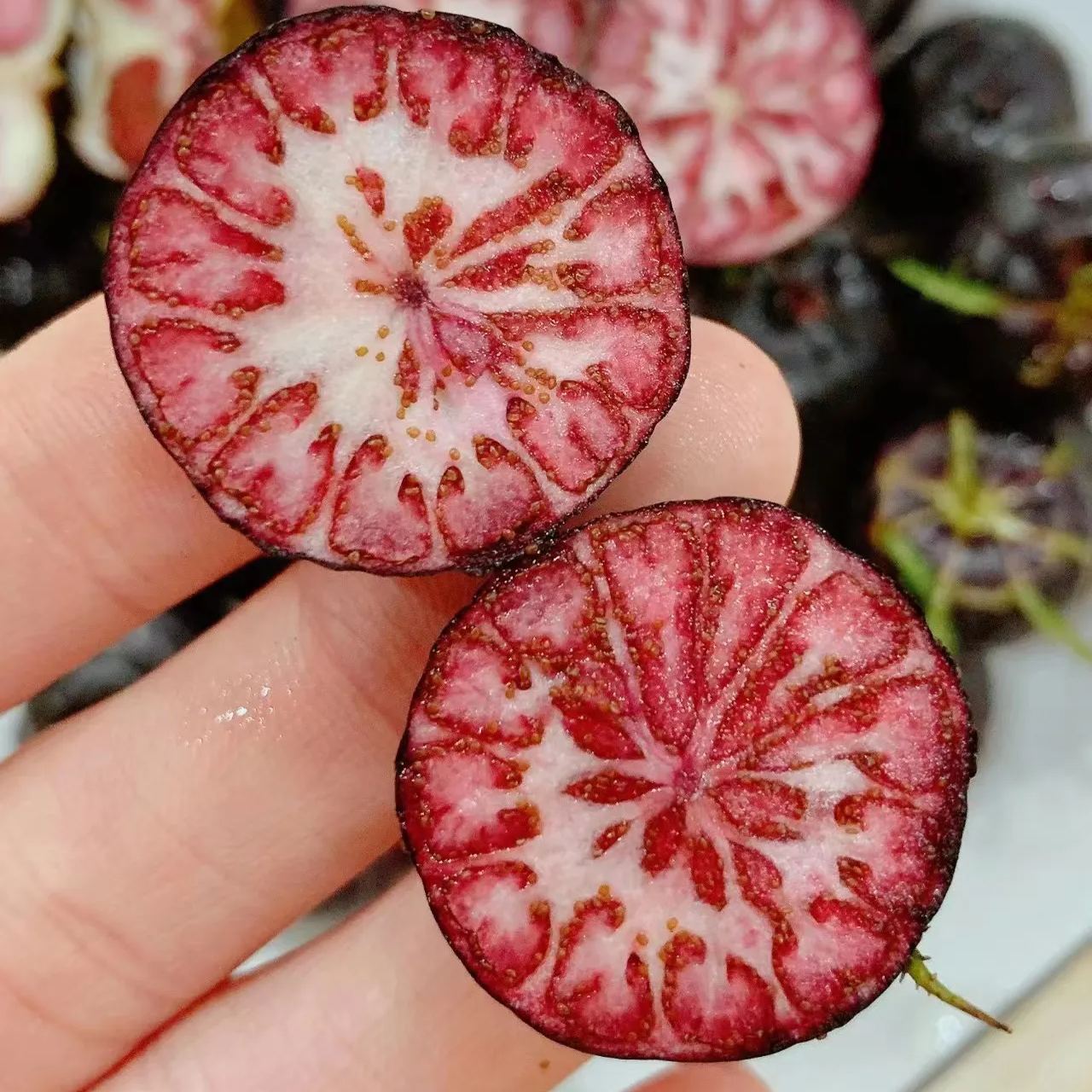 Small Version Of Pumpkin - Red Ginseng Seeds
