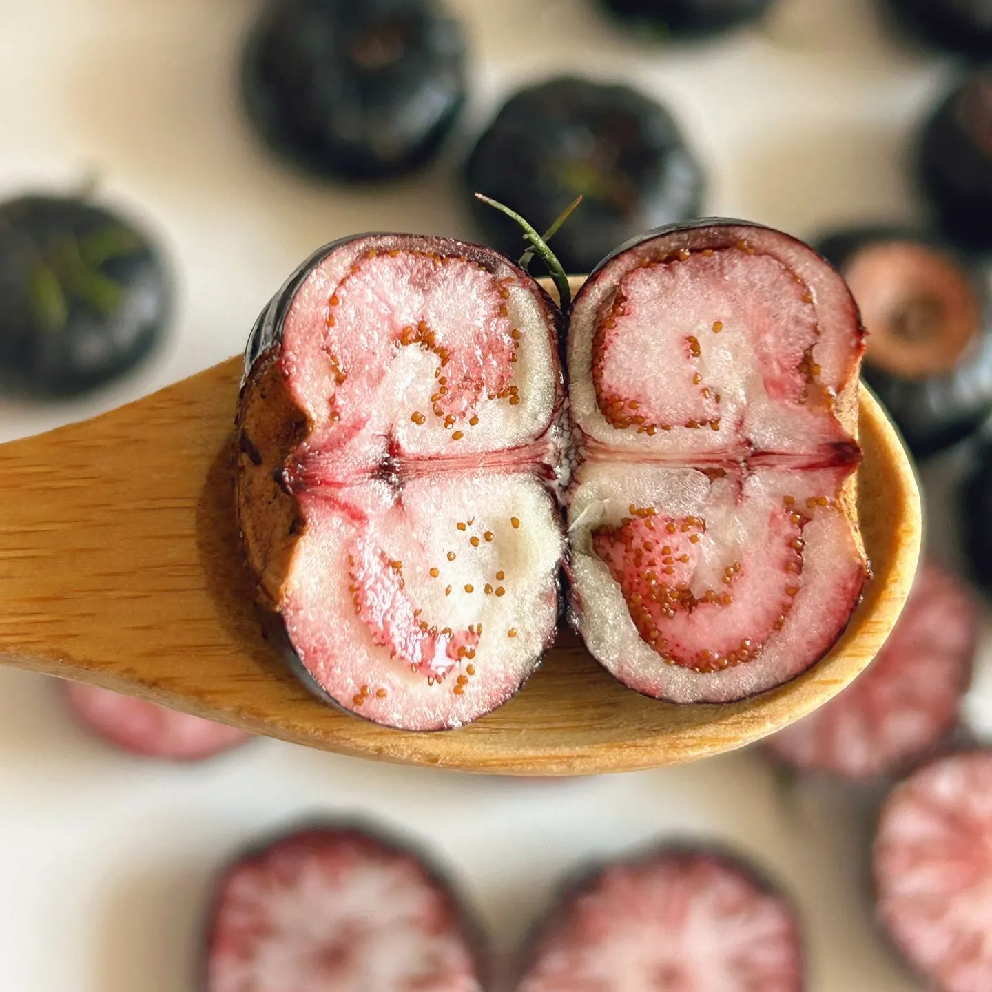 Small Version Of Pumpkin - Red Ginseng Seeds