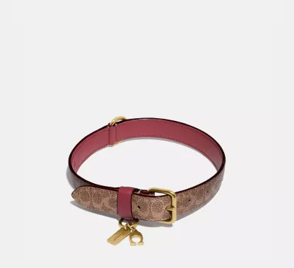 Medium/Large Pet Collar In Signature Canvas