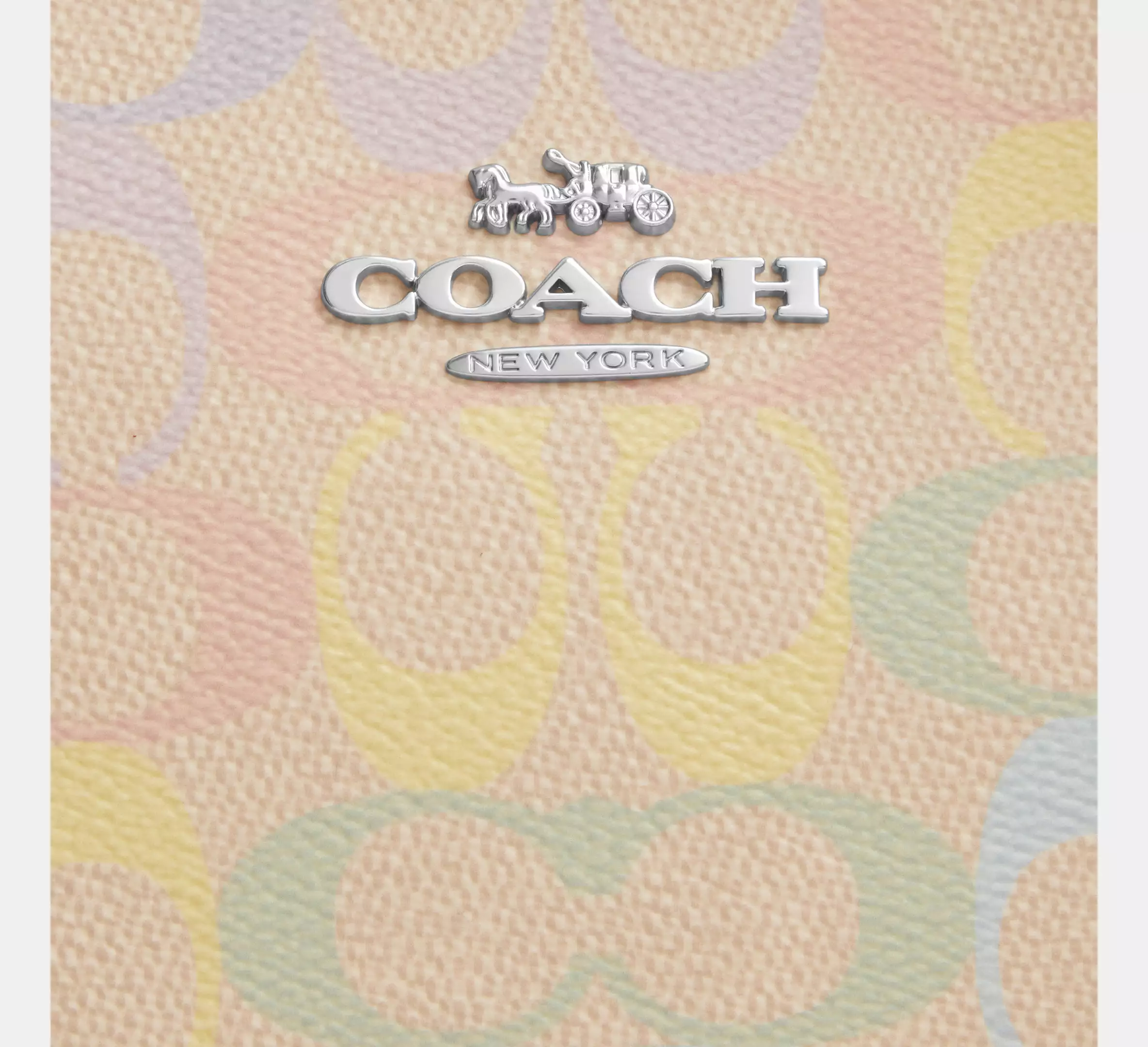 Teri Shoulder Bag In Rainbow Signature Canvas