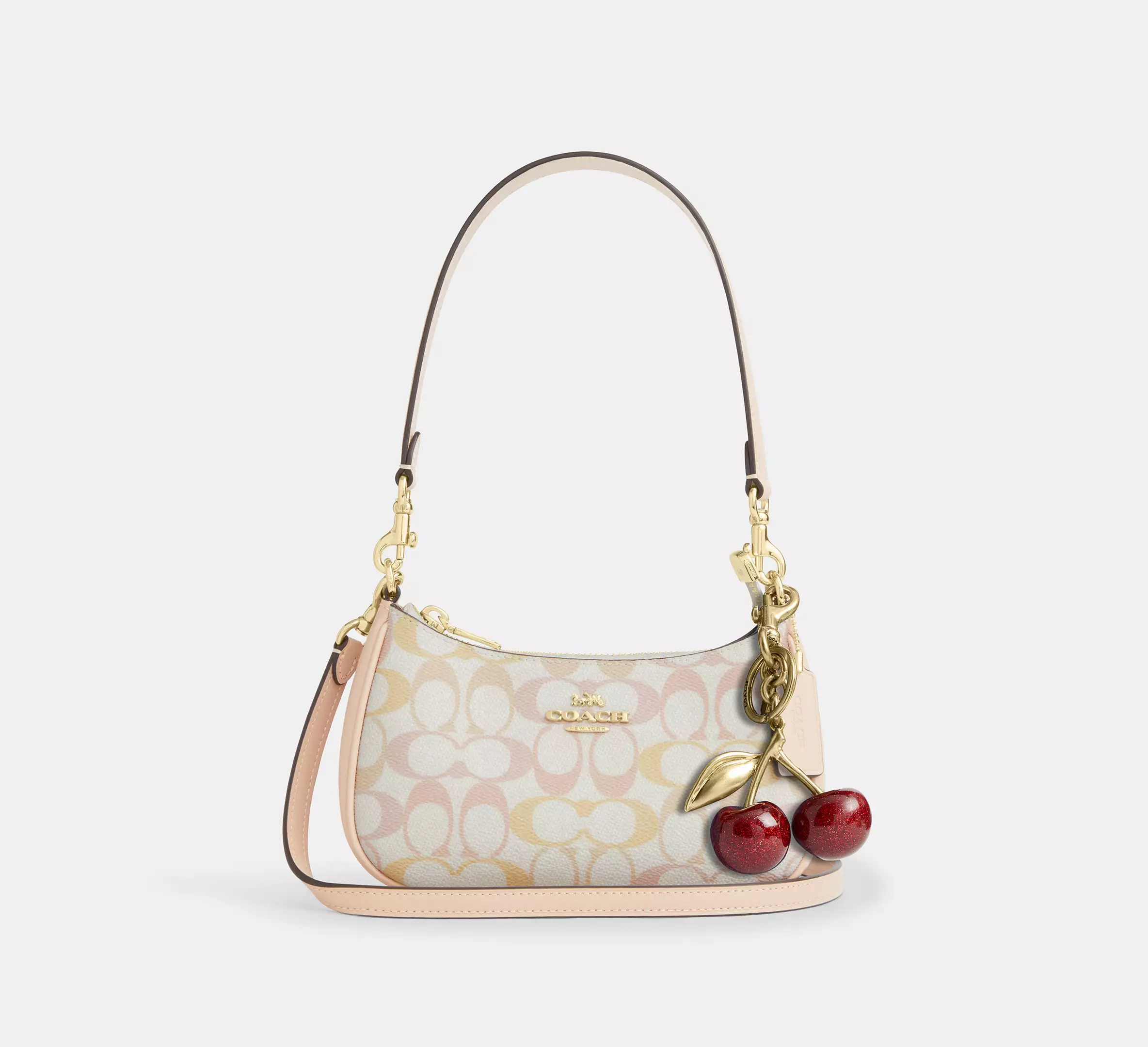 Teri Mini Crossbody Bag In Signature Canvas