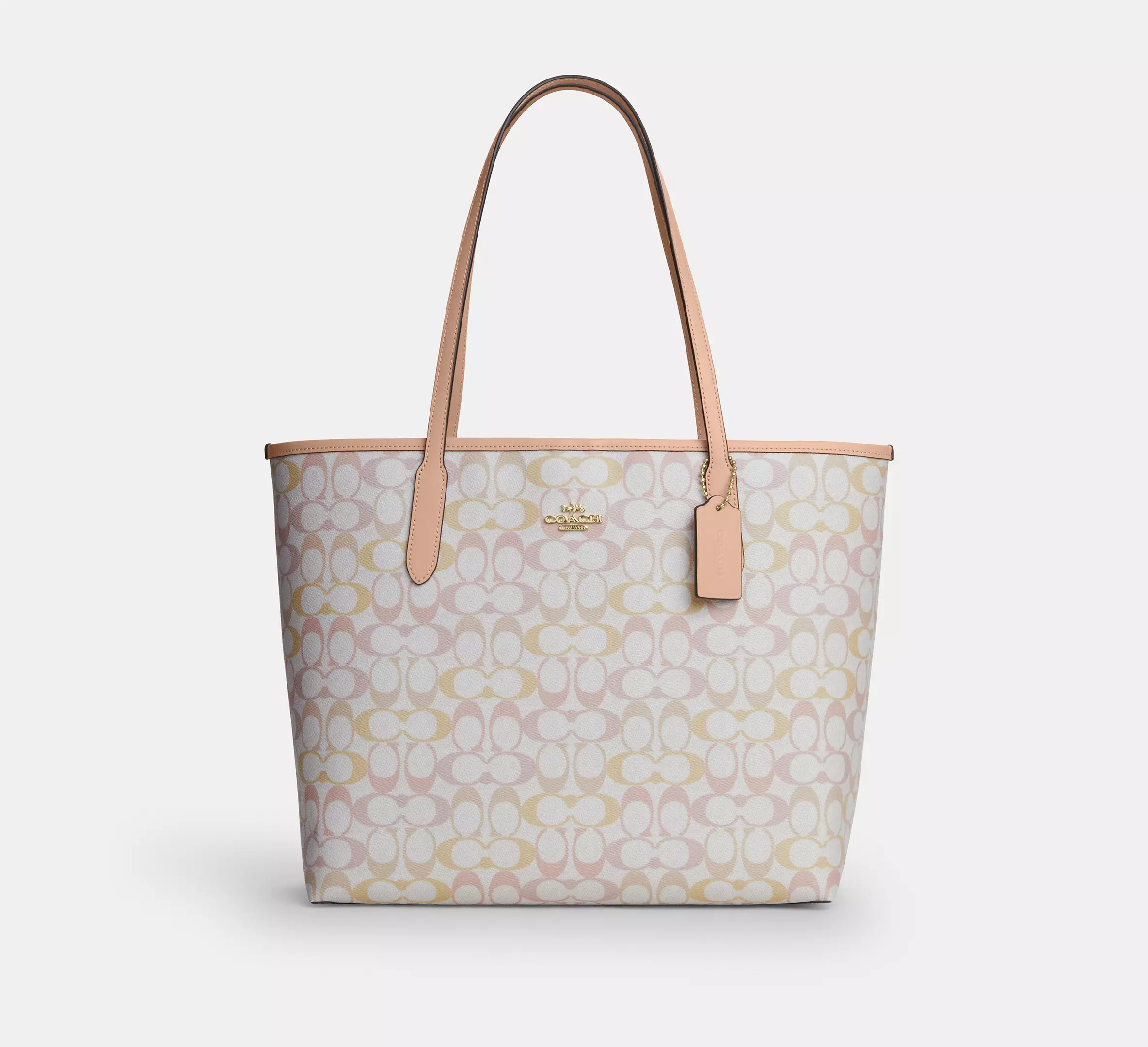 City Tote Bag In Signature Canvas