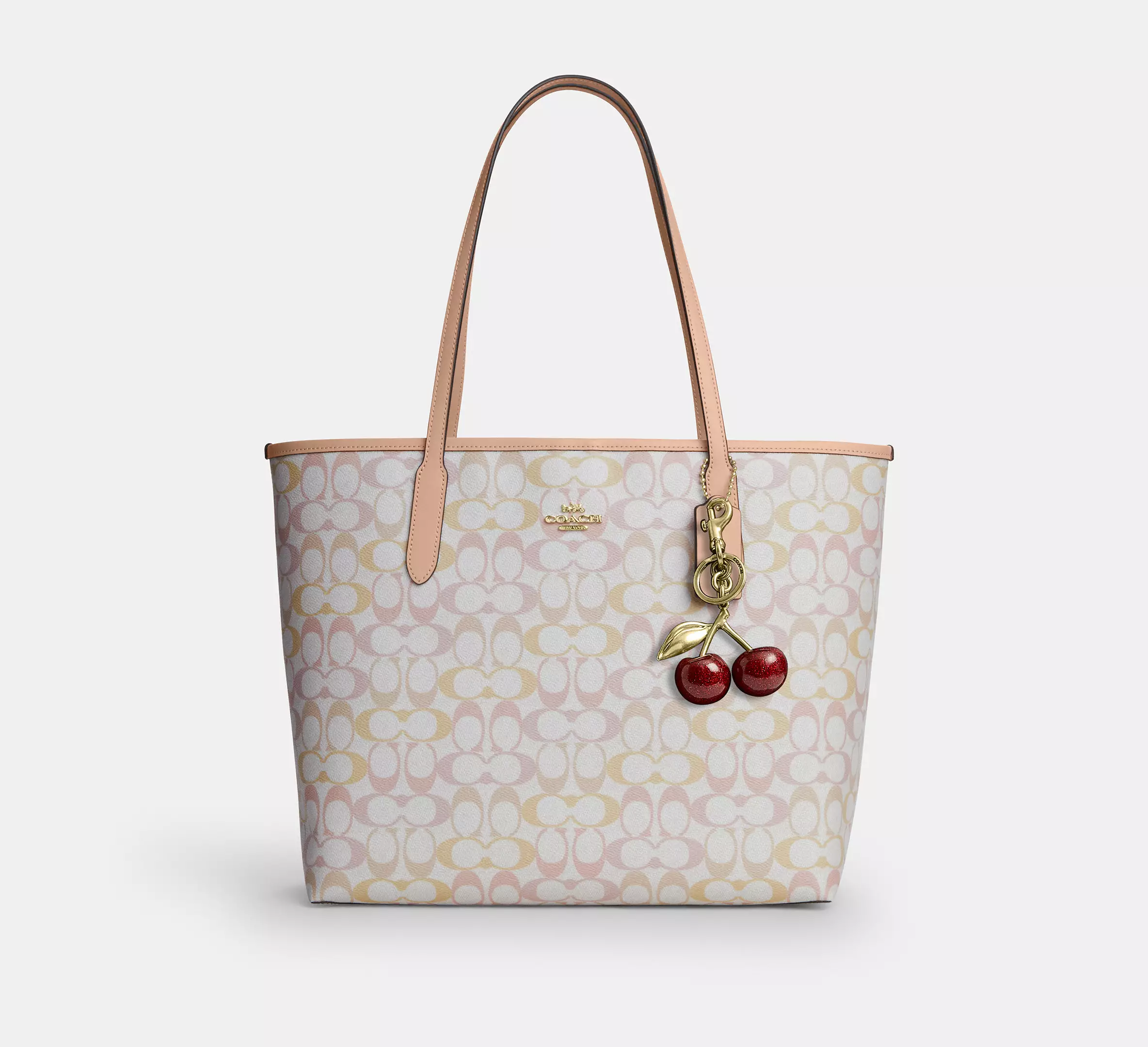 City Tote Bag In Signature Canvas