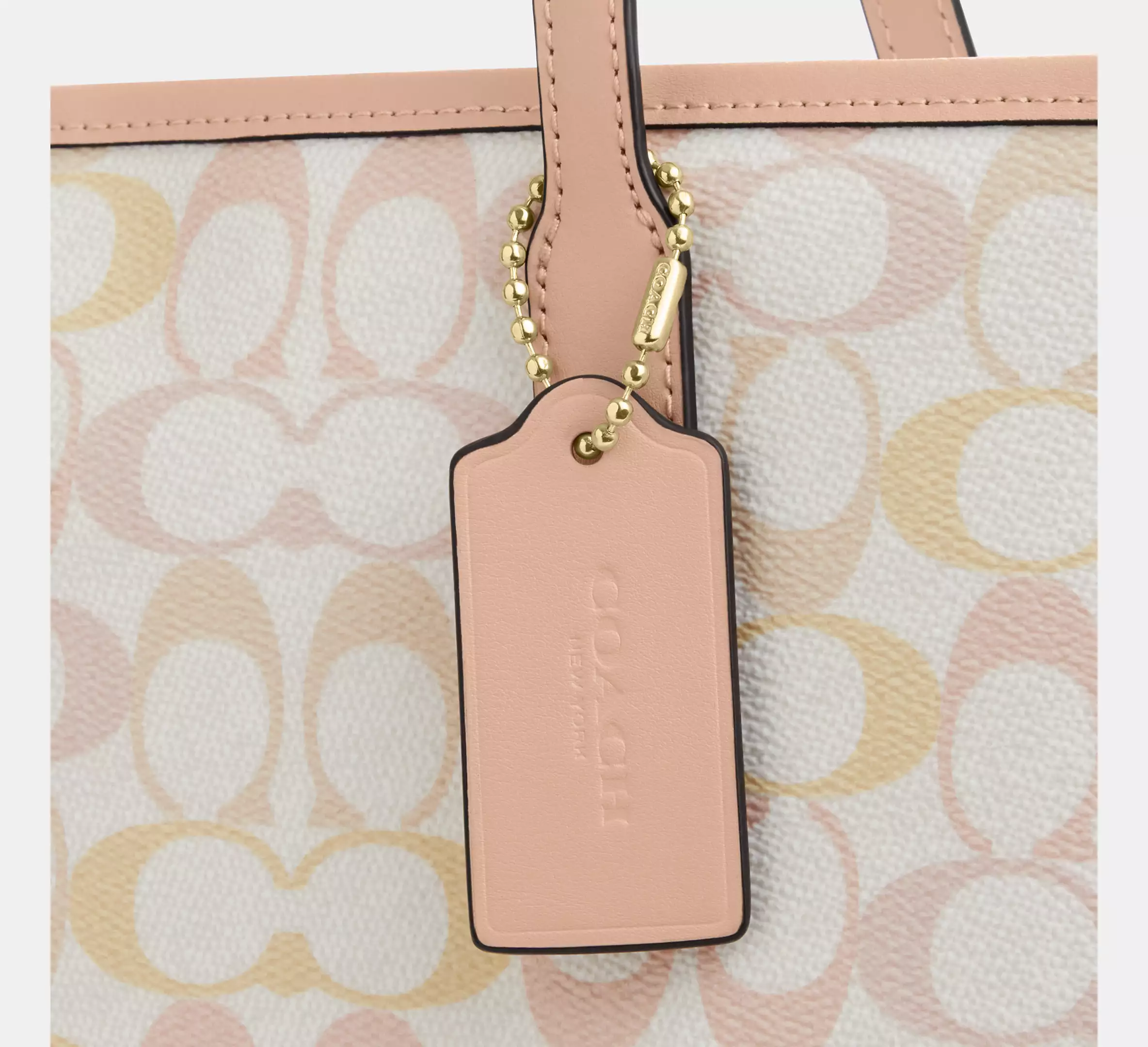 City Tote Bag In Signature Canvas