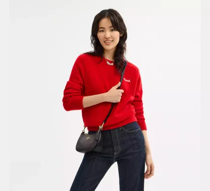 Teri Mini Crossbody Bag In Signature Canvas