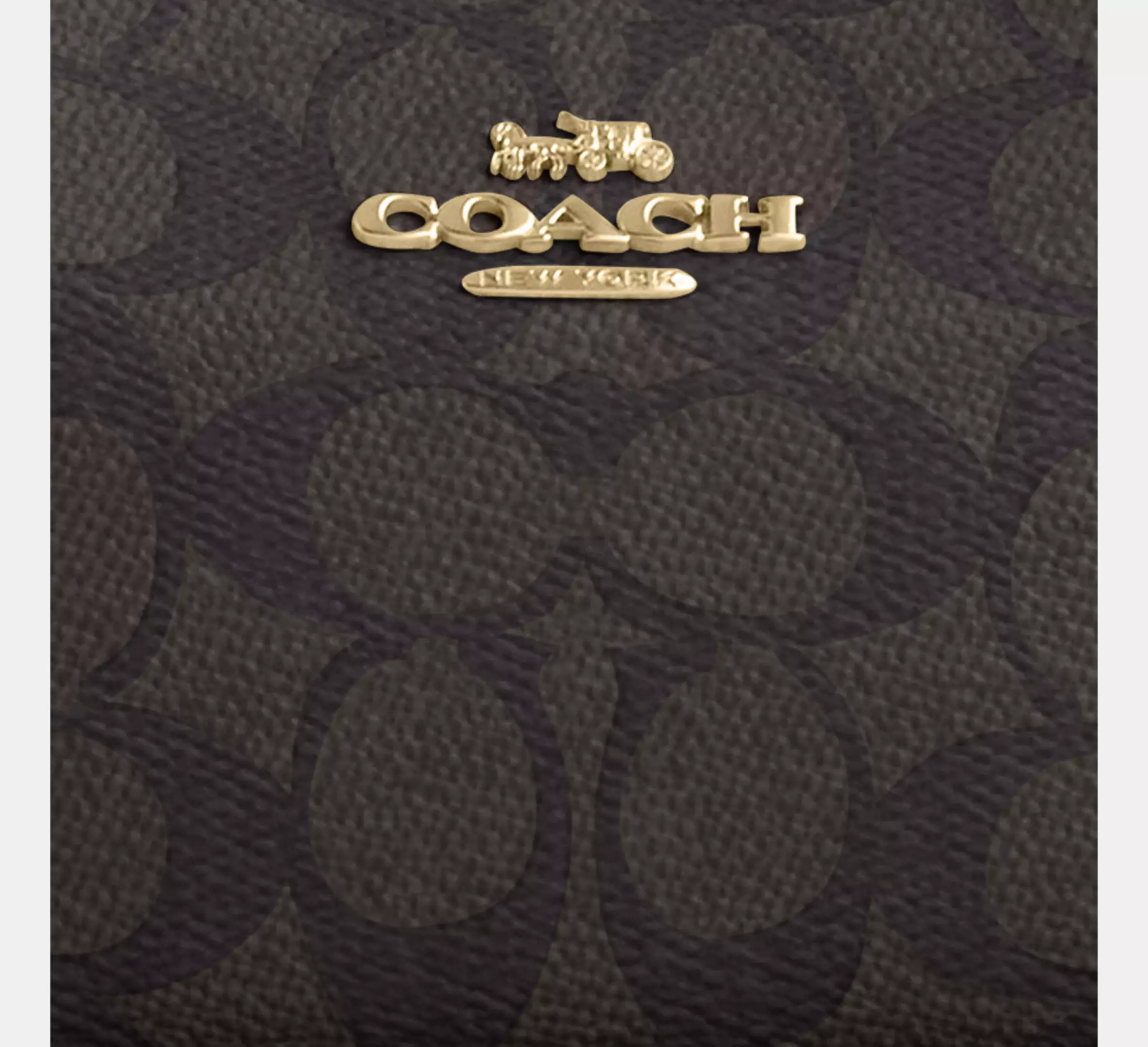 Teri Mini Crossbody Bag In Signature Canvas