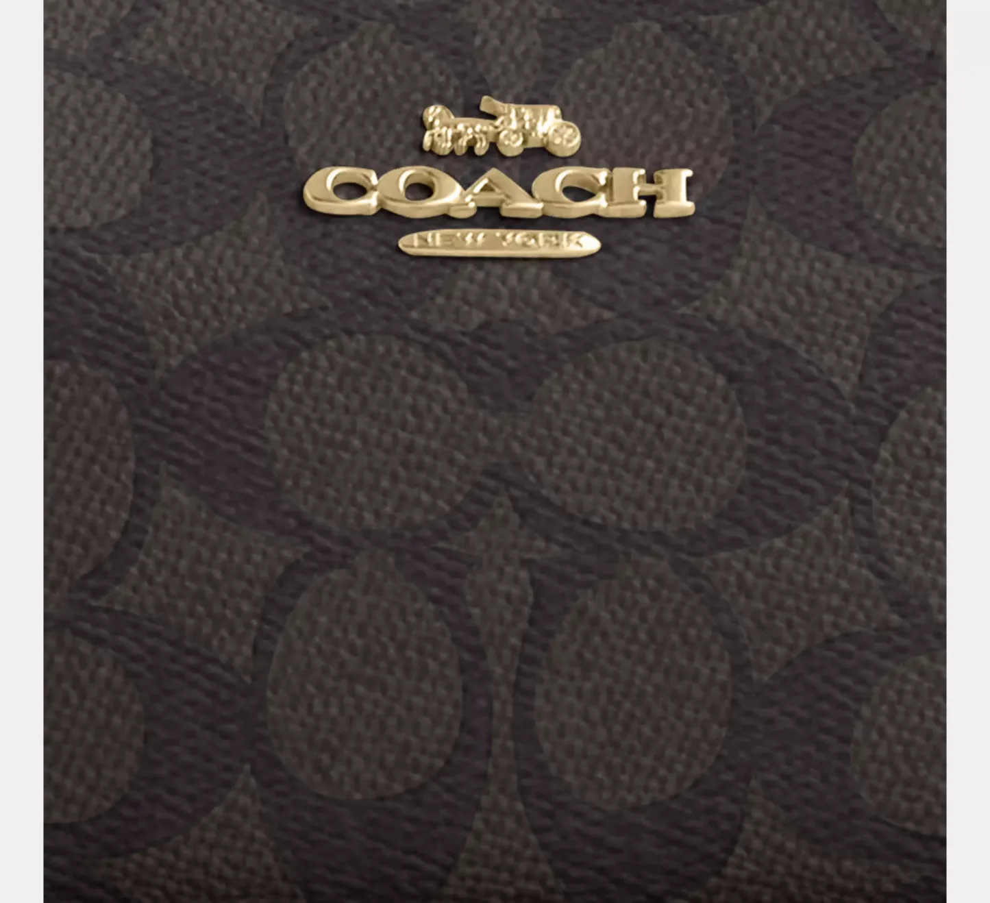 Teri Mini Crossbody Bag In Signature Canvas