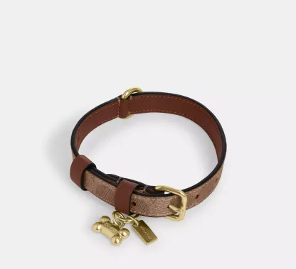 Boxed Small Pet Collar In Signature Canvas