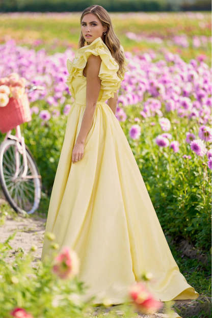 Ruffle Neck Solid Sleeveless Maxi Dress