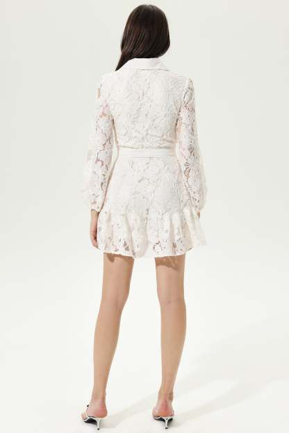 White Long Sleeve Lace Buttoned Mini Dress