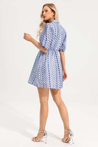 V-Neck Embroider Puff Sleeve Mini Dress