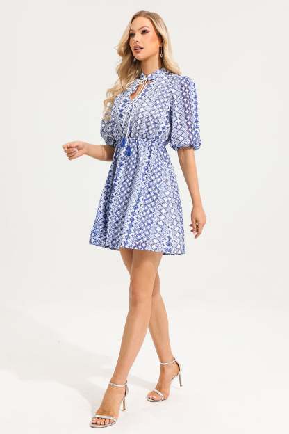V-Neck Embroider Puff Sleeve Mini Dress