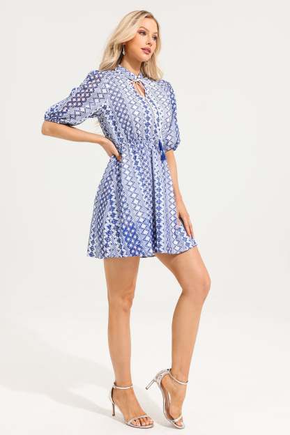 V-Neck Embroider Puff Sleeve Mini Dress