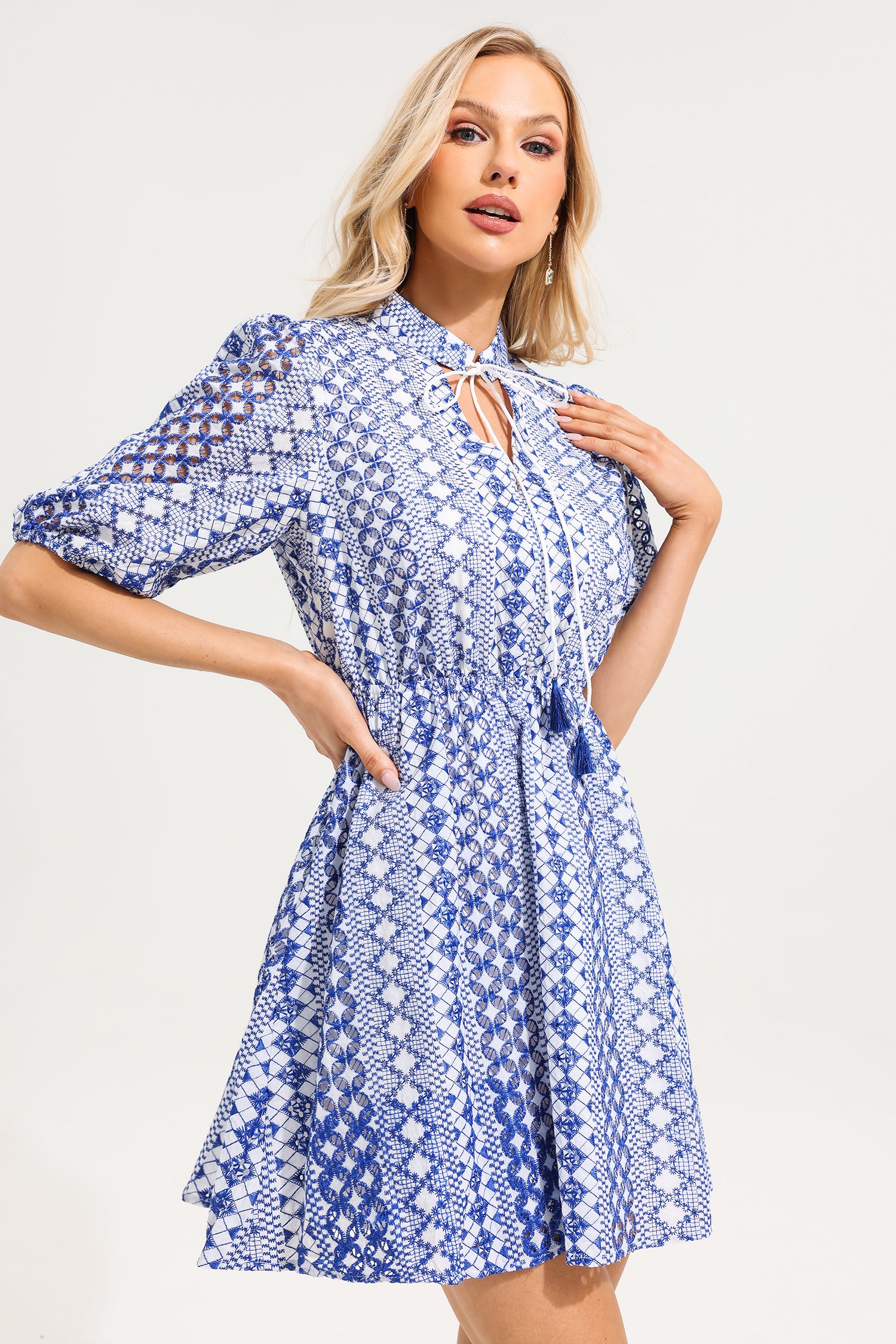 V-Neck Embroider Puff Sleeve Mini Dress