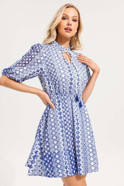 V-Neck Embroider Puff Sleeve Mini Dress
