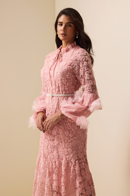 Embroidered Lace Up Long Sleeve Midi Dress