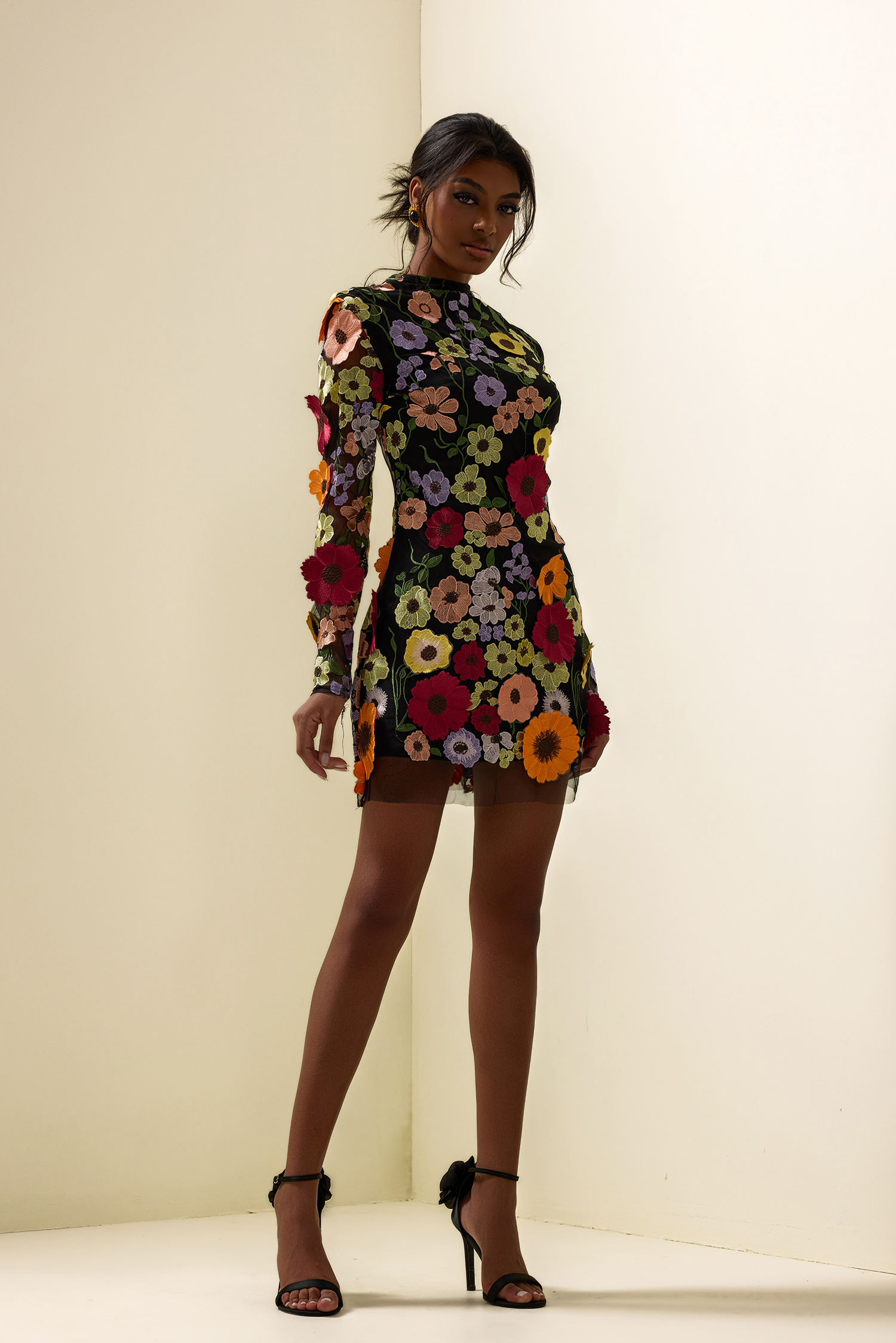 Floral Embroidered Long Sleeve Mini Dress