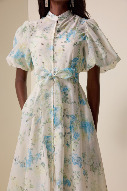 Floral Puff Sleeve Lace-Up Midi Dress
