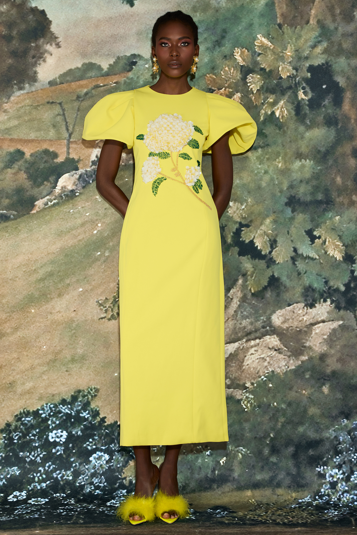 Embroidered Puff Sleeve Midi Dress