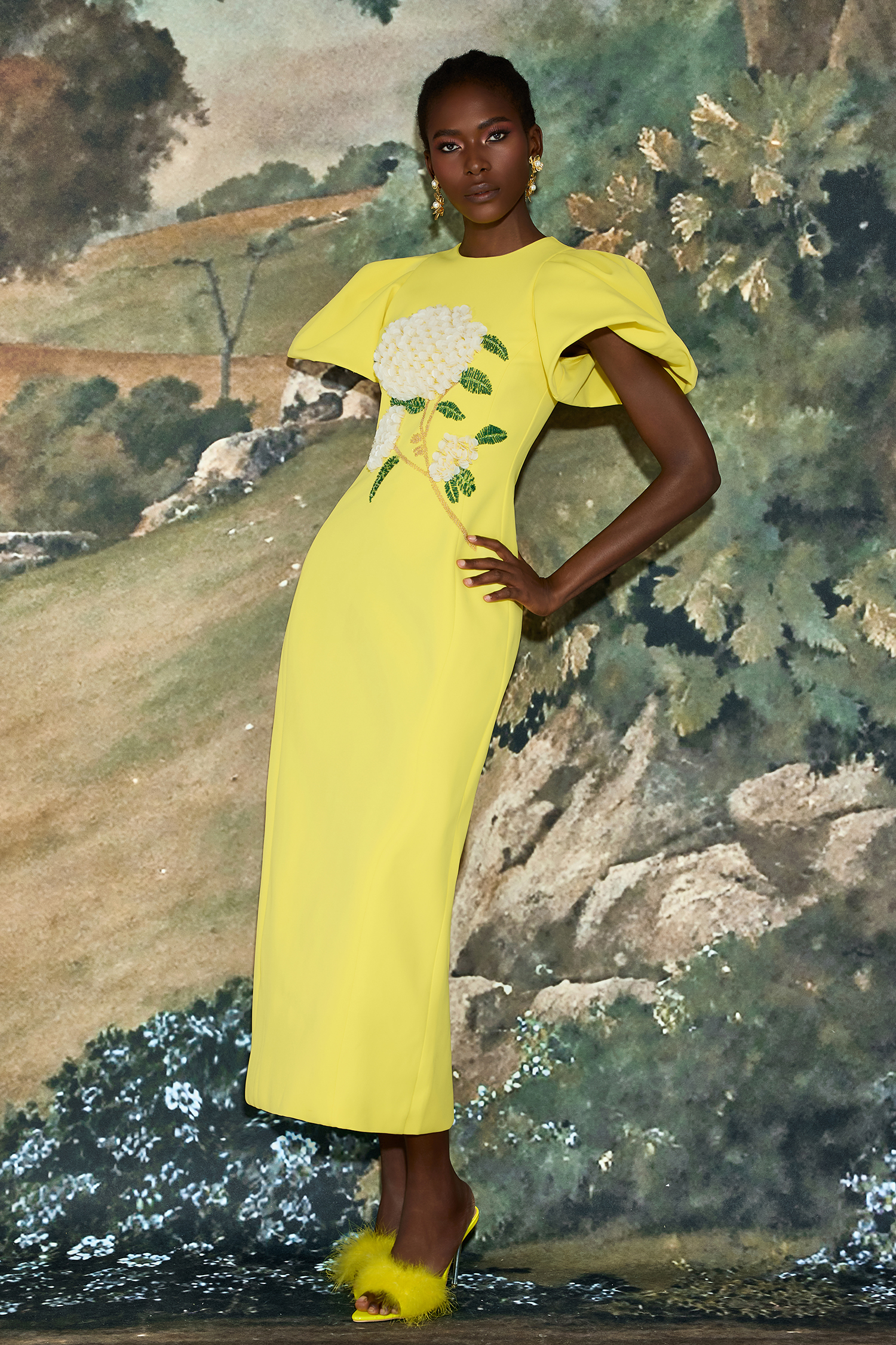 Embroidered Puff Sleeve Midi Dress