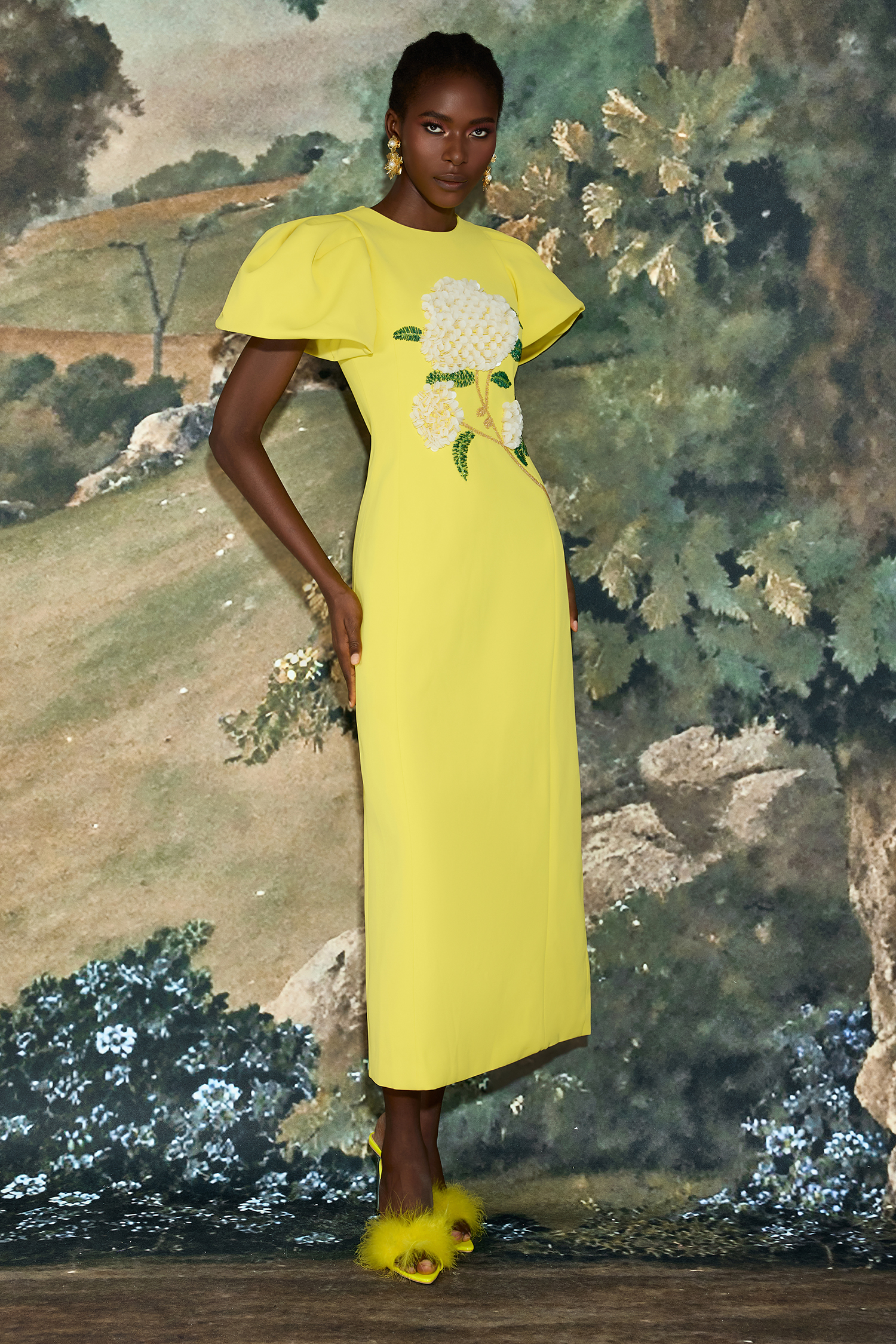 Embroidered Puff Sleeve Midi Dress