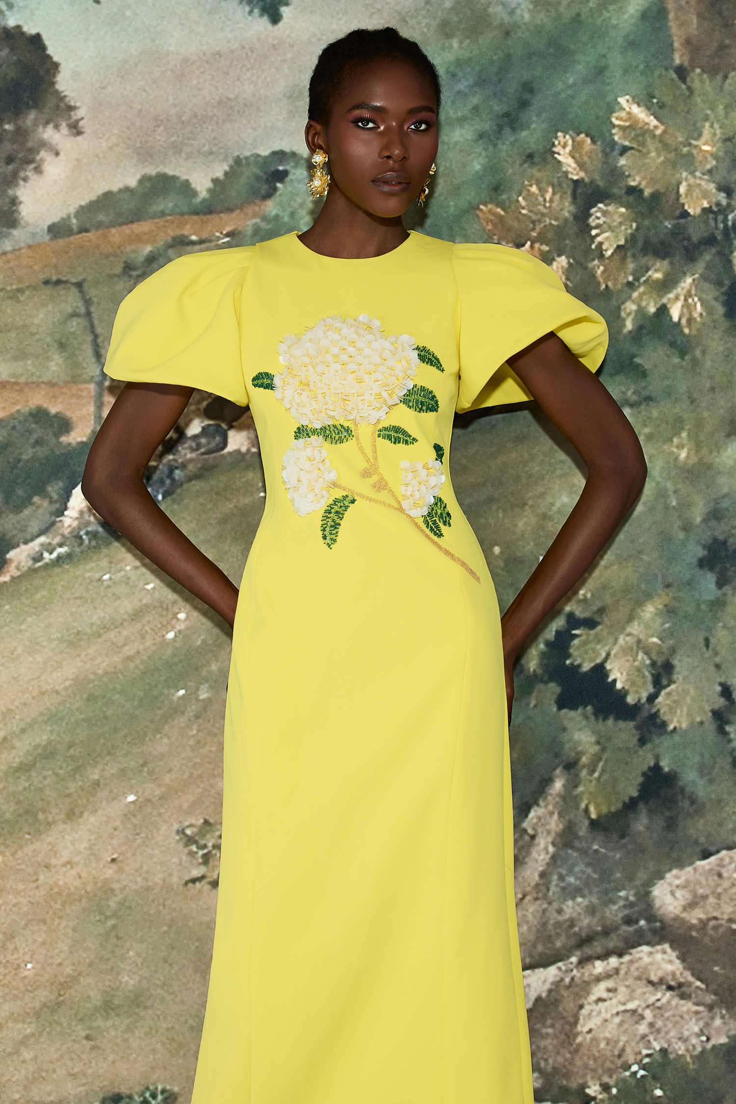 Embroidered Puff Sleeve Midi Dress