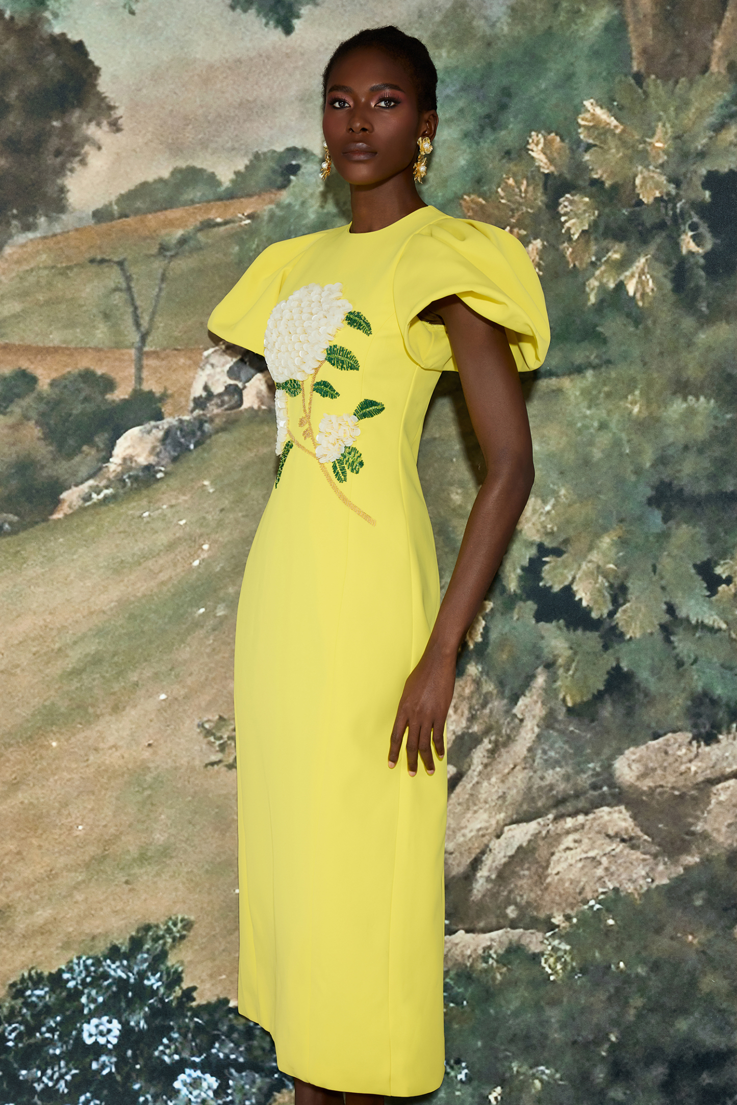 Embroidered Puff Sleeve Midi Dress