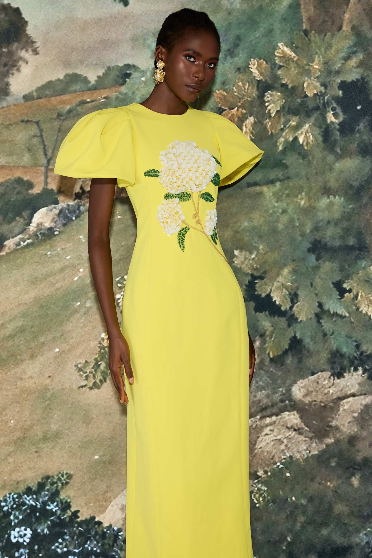 Embroidered Puff Sleeve Midi Dress