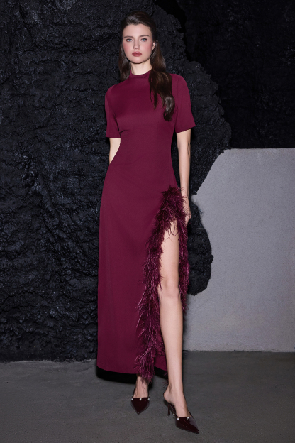 Feather Stand Collar Slit Midi Dress