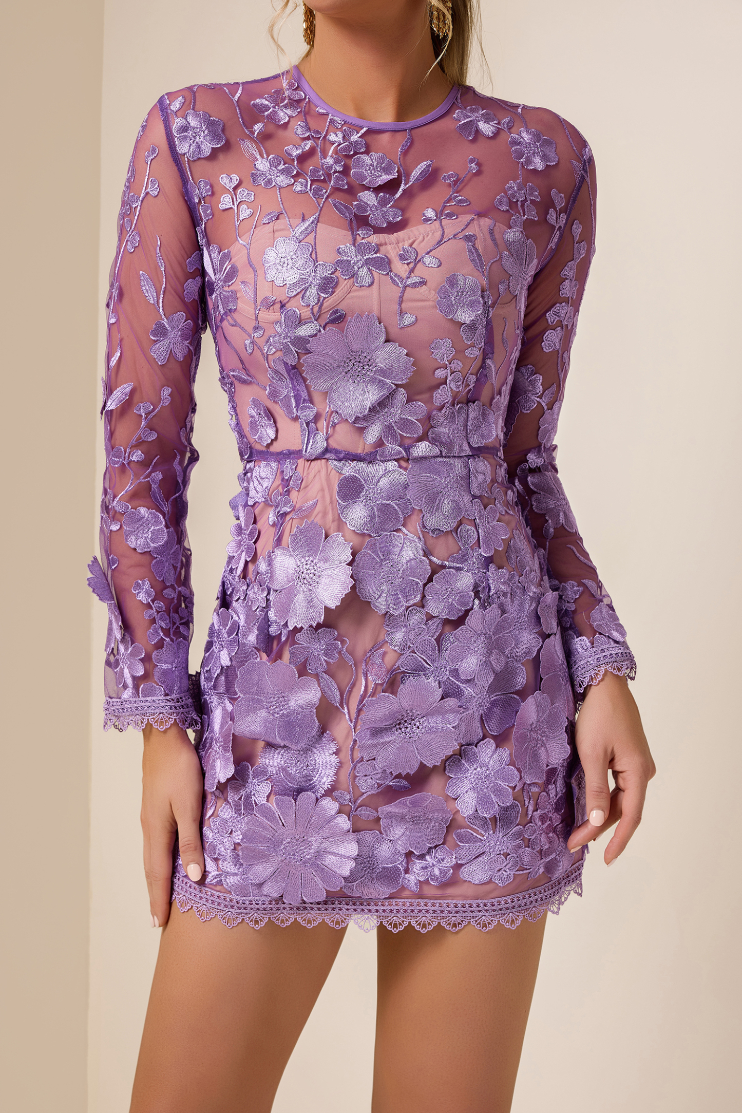 Embroidered Long Sleeve Round Neck Mini Dress