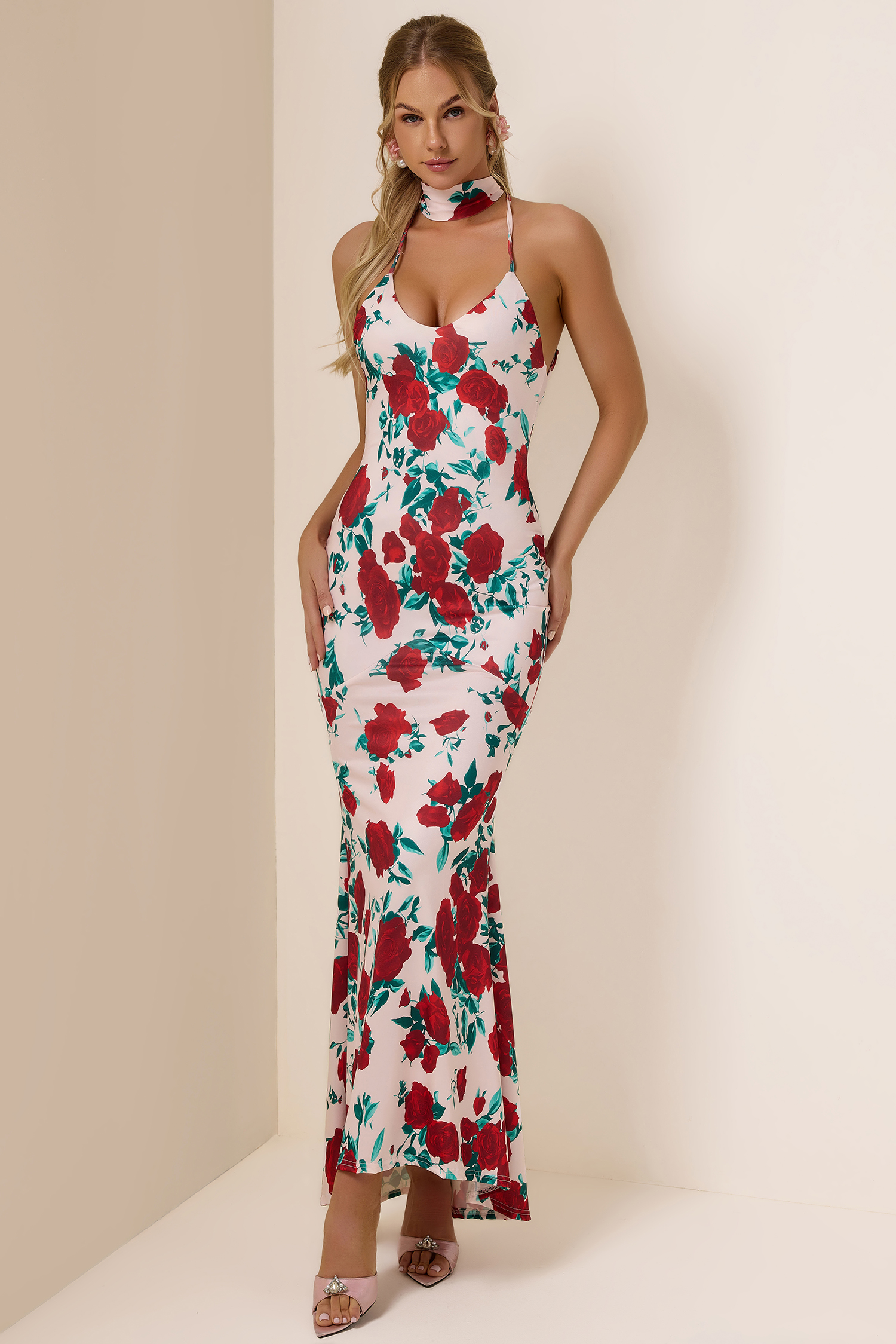 Chiffon Floral Plunge Maxi Dress